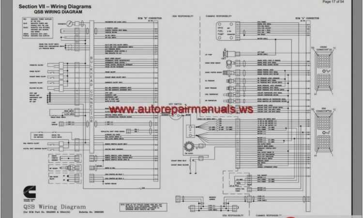 Cummins Isc Engine Diagram