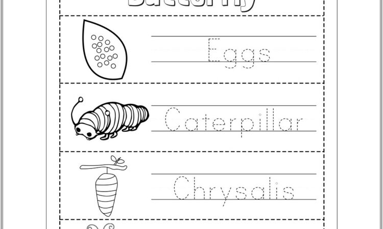 Cycle Of Life Worksheet