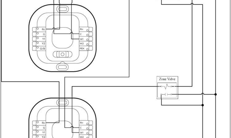 Ecobee Thermostat Wiring Diagram