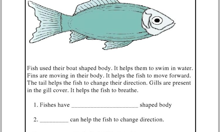 English Worksheet For Grade 1 Cbse