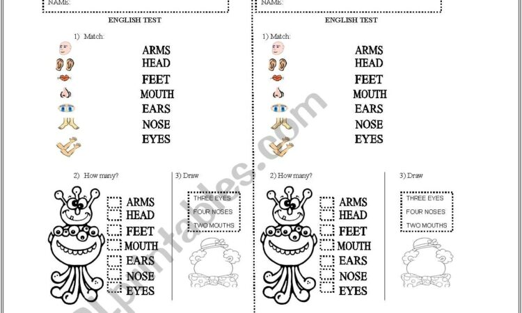 English Worksheet Parts Of Body