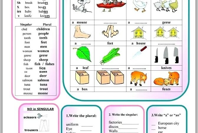 English Worksheet Singular And Plural Nouns