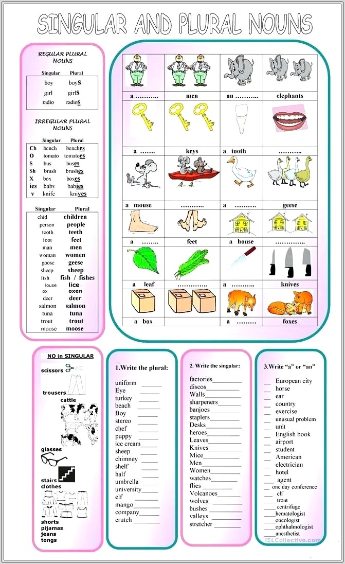 English Worksheet Singular And Plural Nouns
