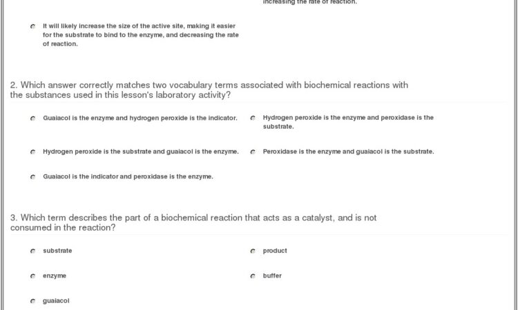 Enzyme Reading And Worksheet