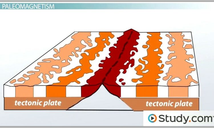 Evidence For Plate Tectonics Worksheet