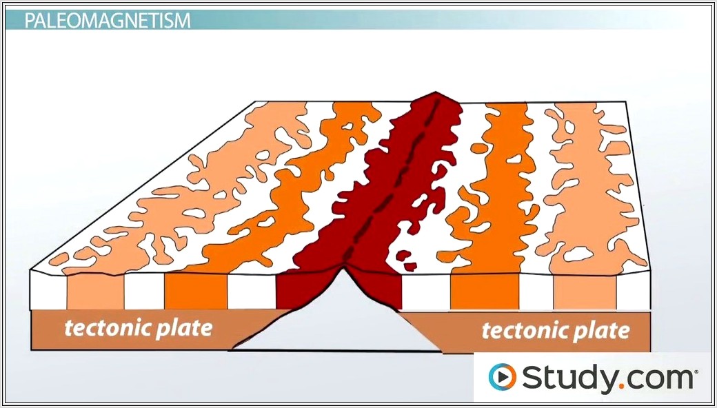 Evidence For Plate Tectonics Worksheet