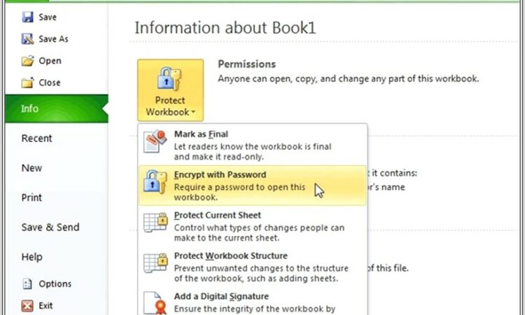 Excel 2007 Protect Workbook Forgot Password