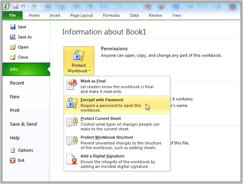 Excel 2007 Protect Workbook Forgot Password