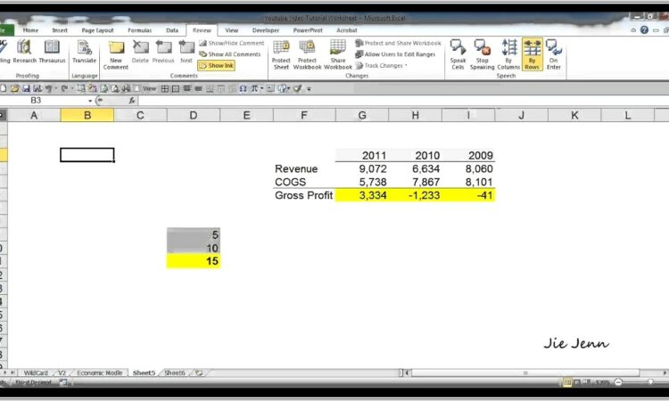 Excel 2007 Protecting Cells In A Worksheet