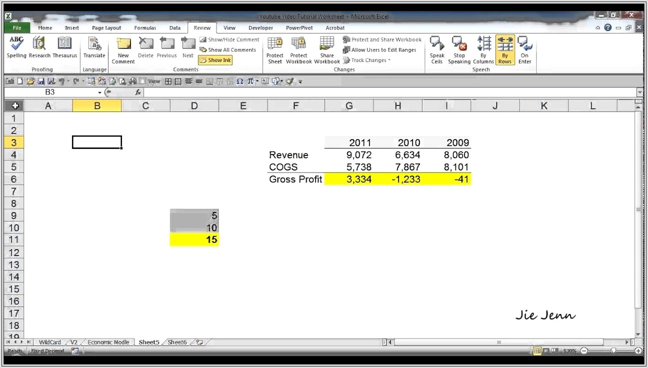 Excel 2007 Protecting Cells In A Worksheet