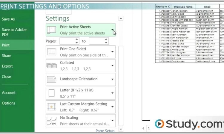 Excel Copy Worksheet Print Setup