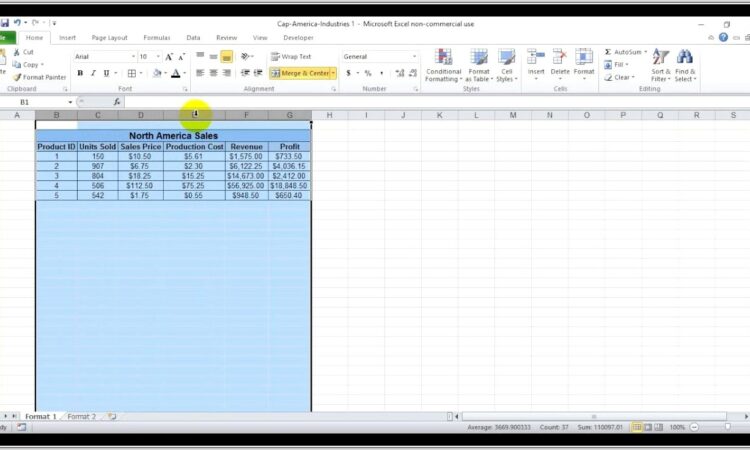 Excel Vba Column Width Best Fit