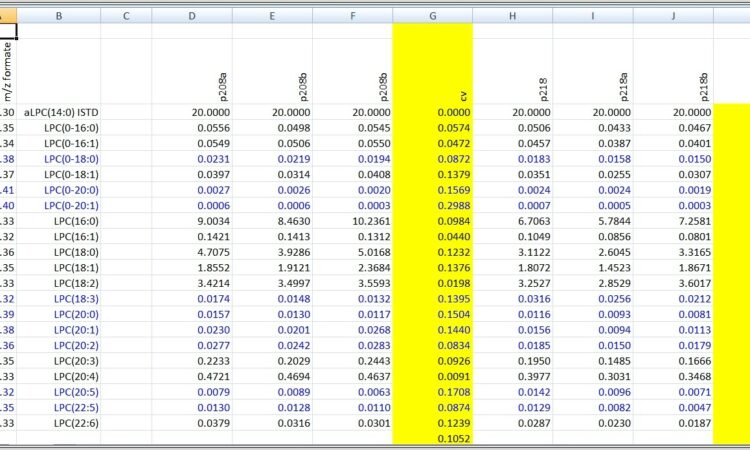 Excel Vba Column Width In Points