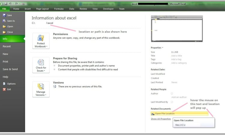 Excel Vba Get Workbook Path