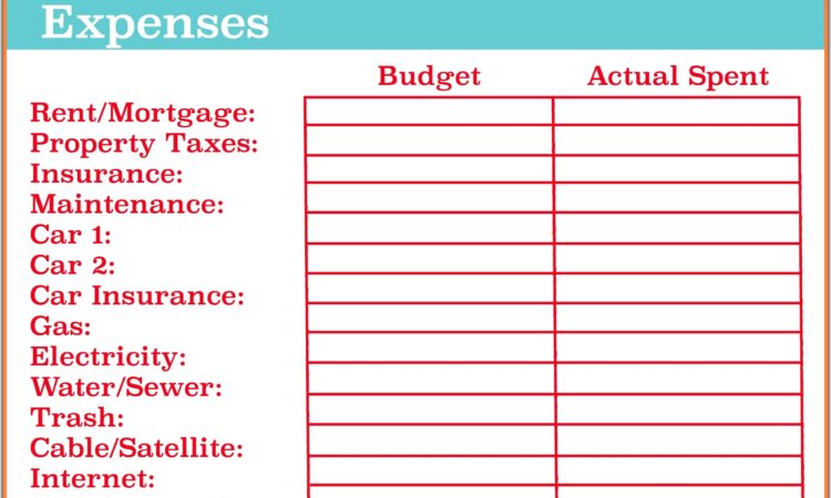 Excel Worksheet Budget Household