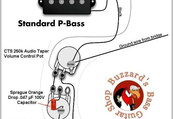 Fender P Bass Wiring Diagram