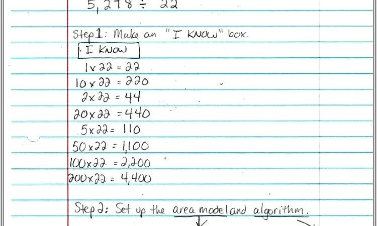 Fifth Grade Math Worksheets Division