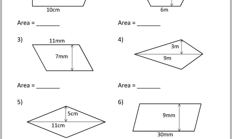 Fifth Grade Quadrilaterals Worksheet