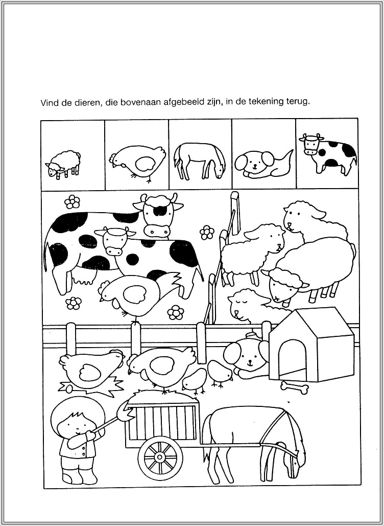 First Grade Animal Unit Worksheets