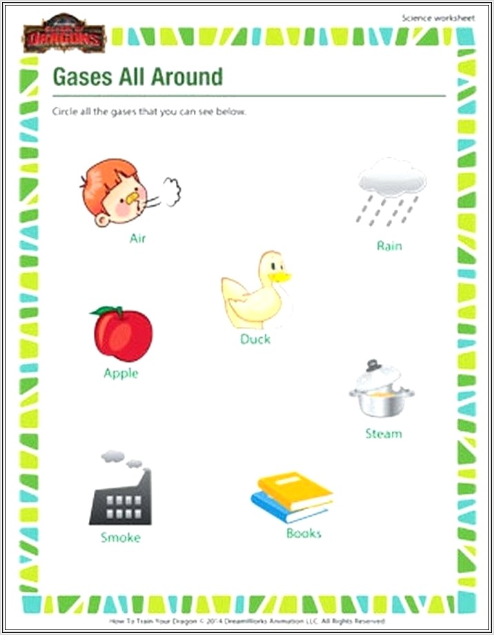 First Grade Bird Worksheets