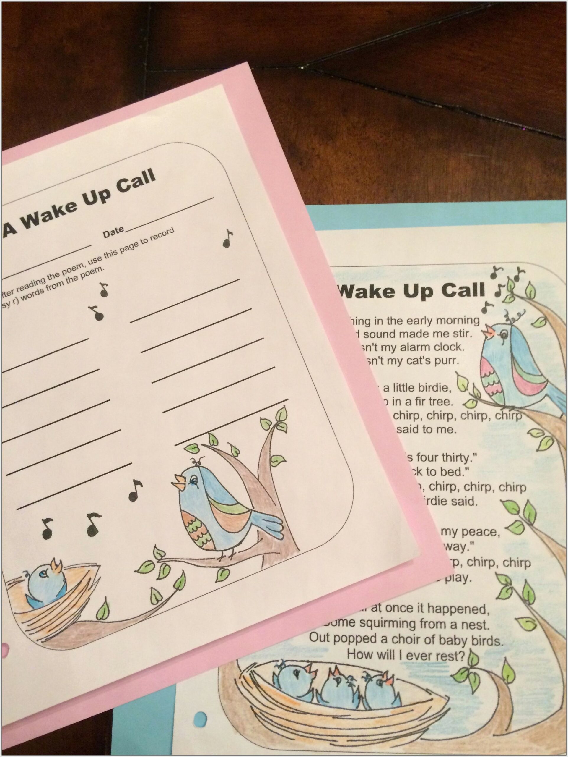 First Grade Diphthongs Worksheets