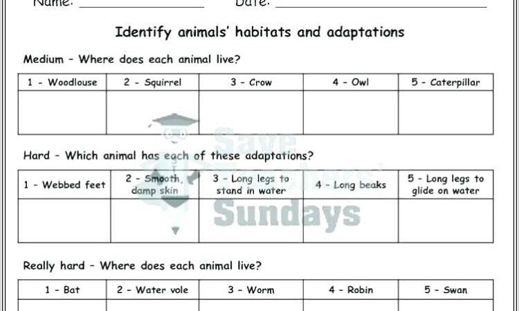 First Grade Habitat Worksheet