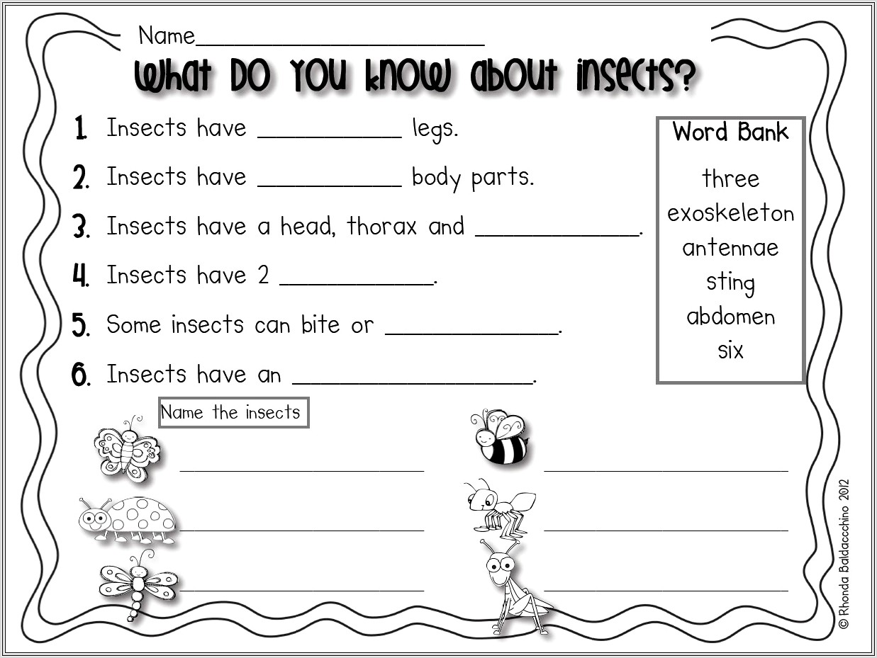 First Grade Insect Worksheets