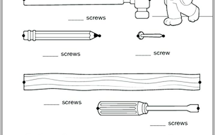 First Grade Math Worksheets Length