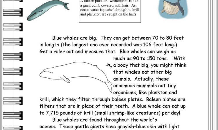 First Grade Nonfiction Worksheets