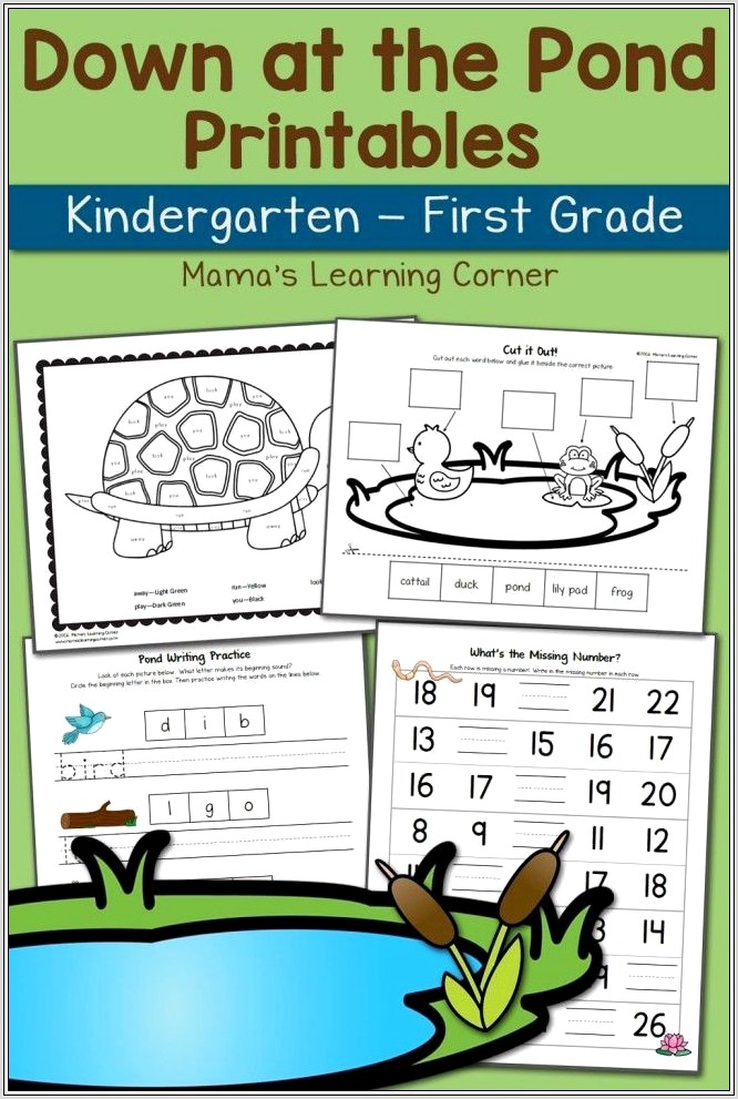 First Grade Theme Worksheets