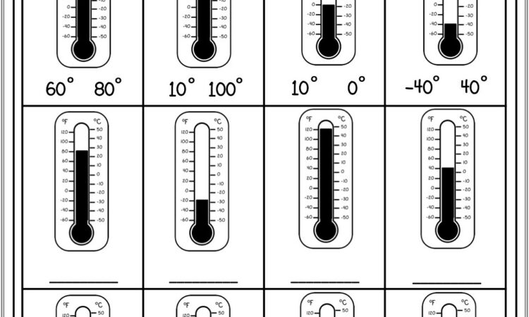 First Grade Weather Printables