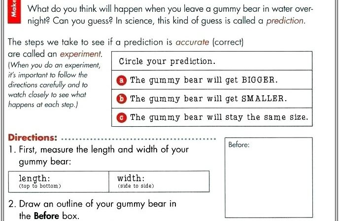 First Grade Worksheet On Matter