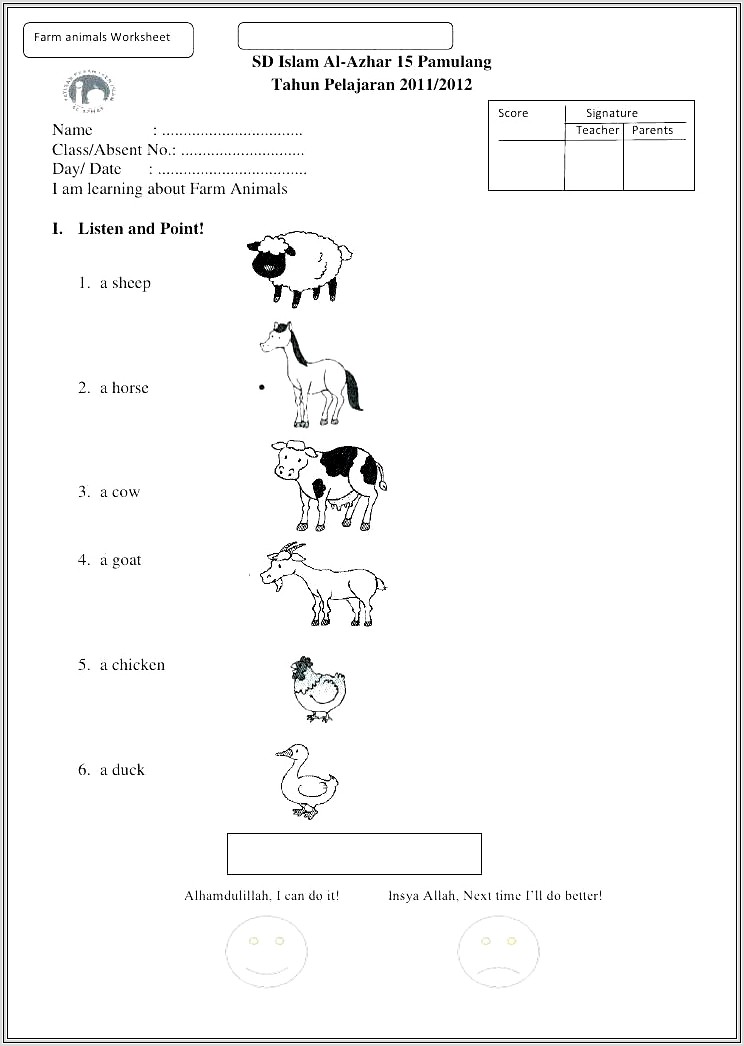 First Grade Worksheet On Plants