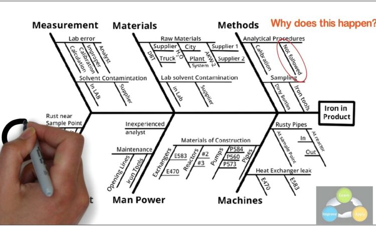 Fishbone Diagram Example For Service Industry