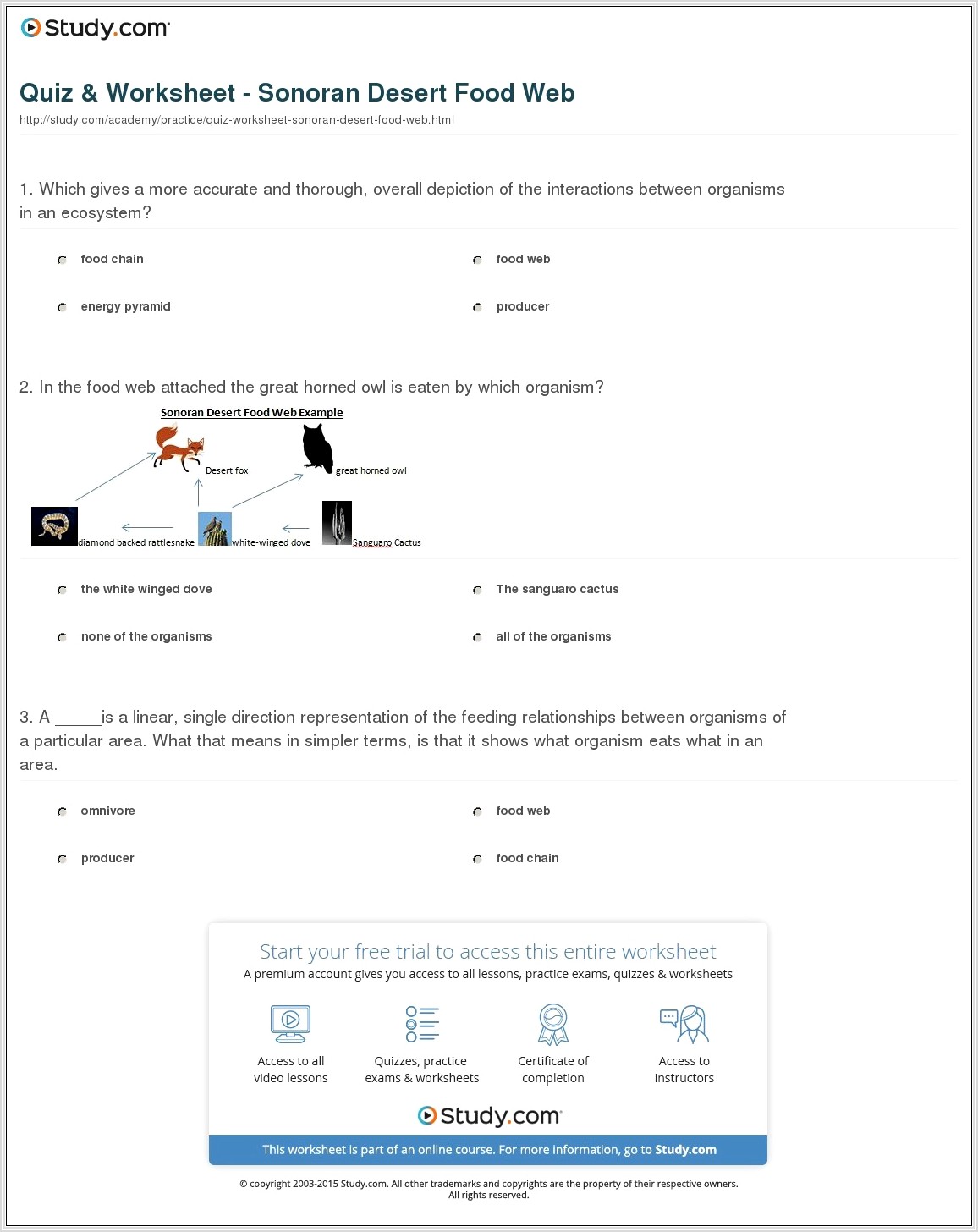 Food Chain Quiz Worksheet Answers