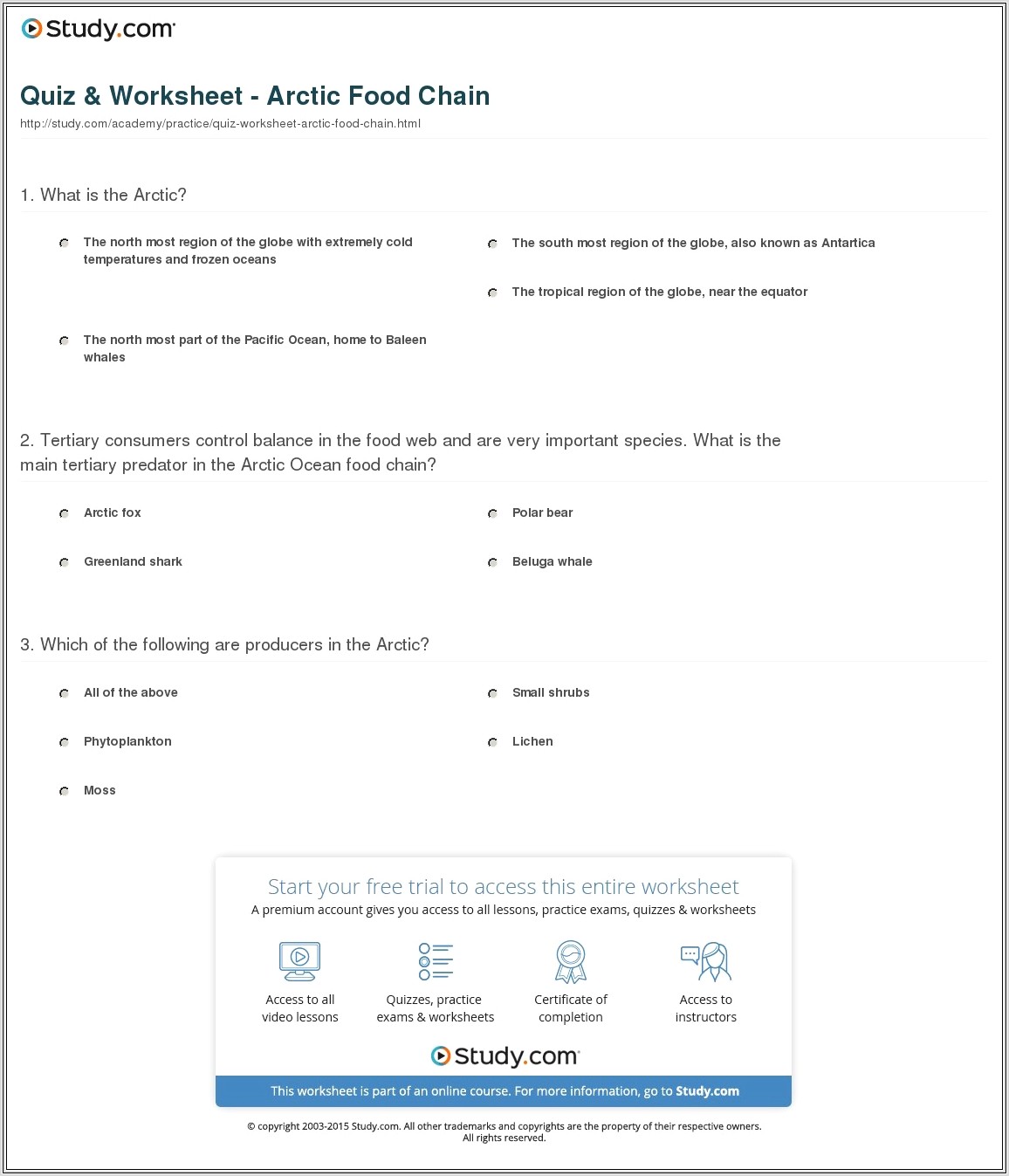 Food Chain Quiz Worksheet