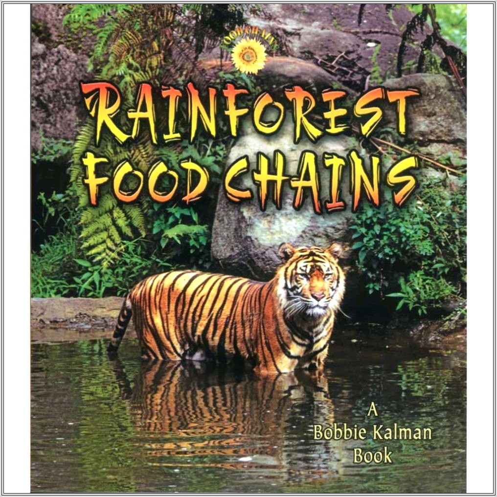 Food Chain Rainforest Worksheet