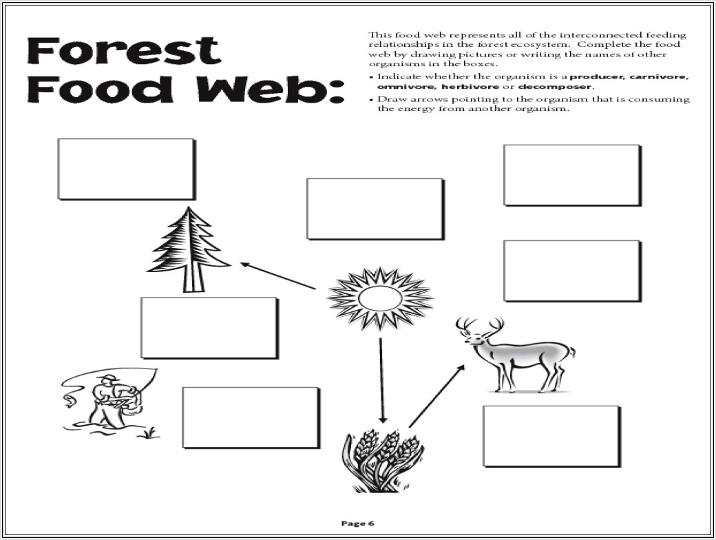 Food Chain Worksheet Cut And Paste
