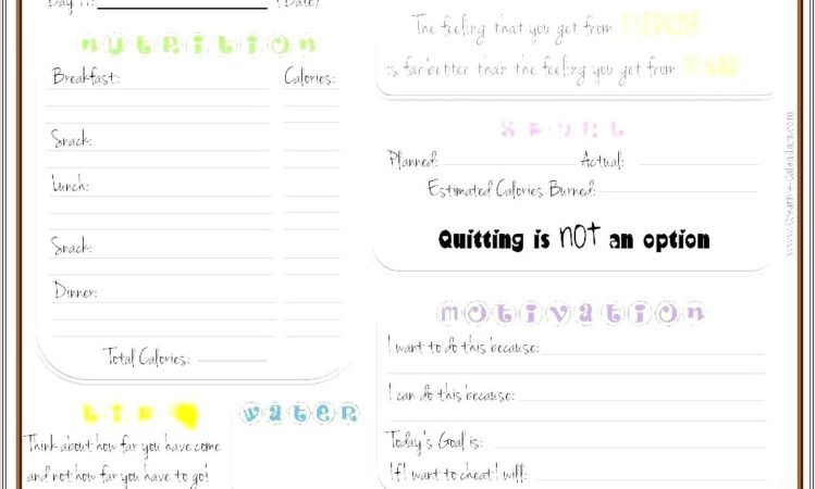 Food Diary Worksheet Ks2