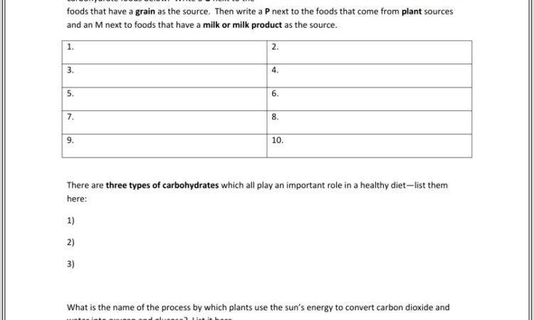 Food For Today Worksheet Answers