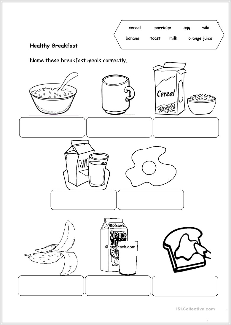 Food Groups Worksheet Grade 1