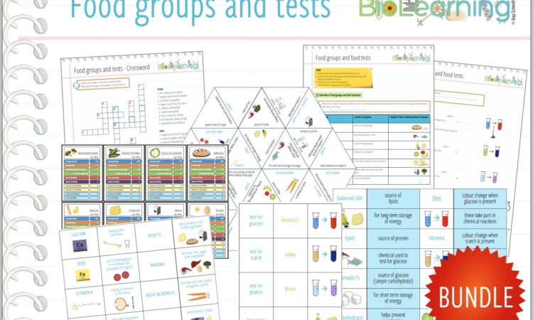 Food Groups Worksheet Ks3