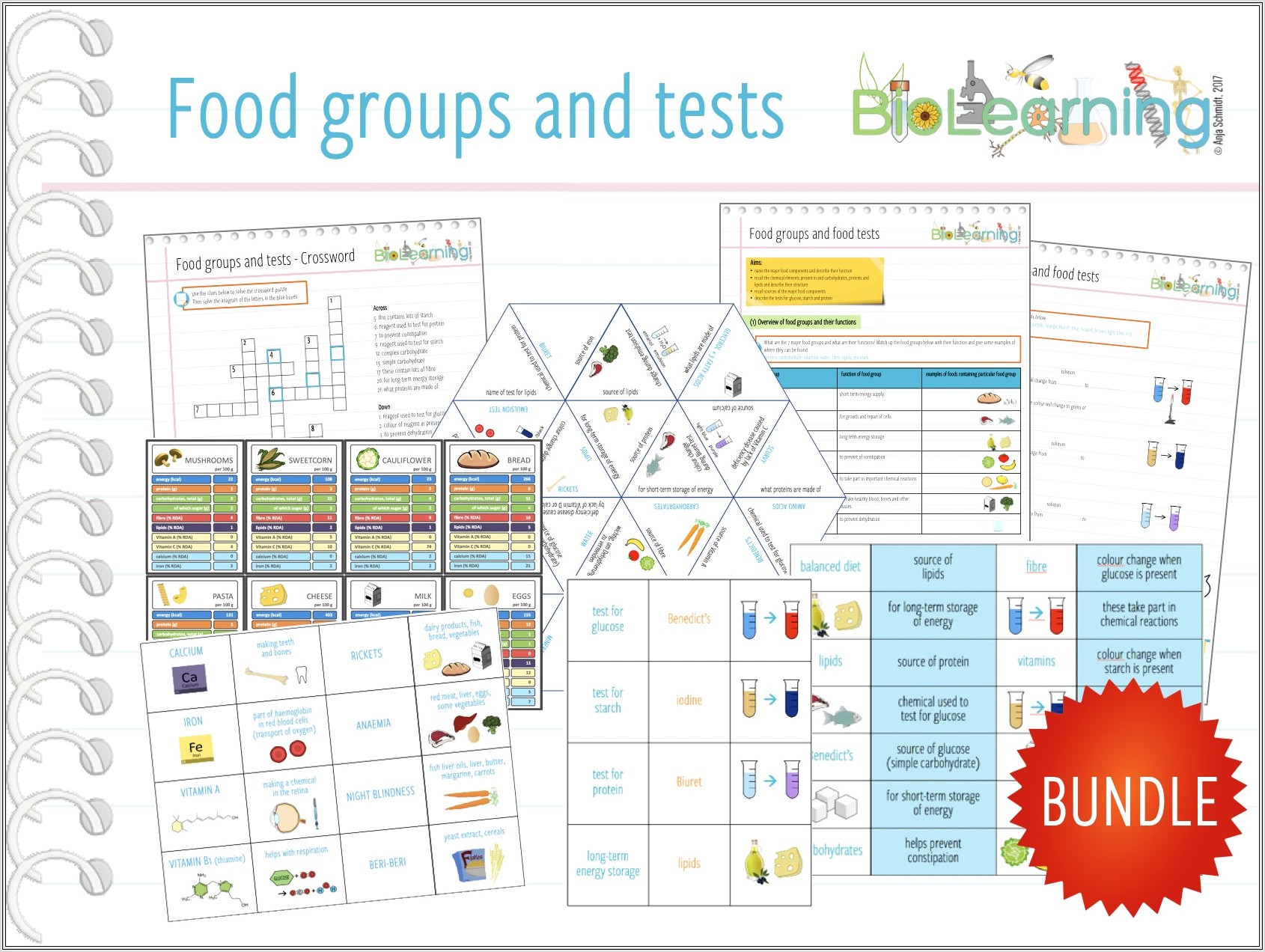 Food Groups Worksheet Ks3
