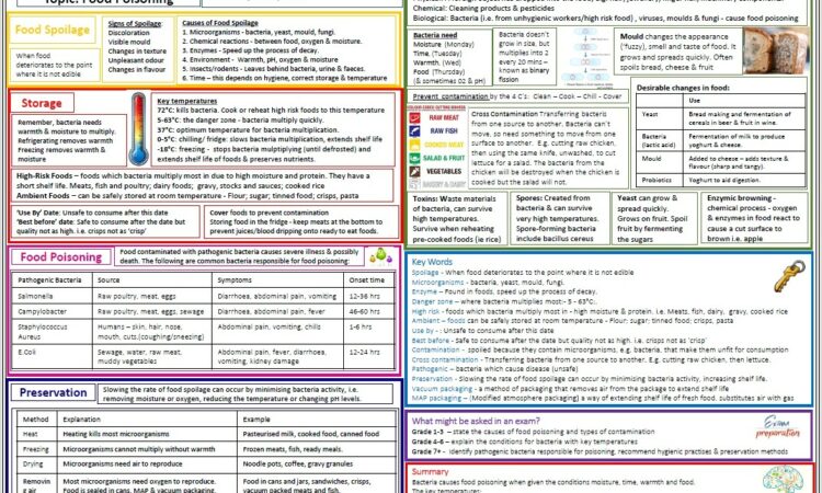 Food Hygiene Worksheet Ks2