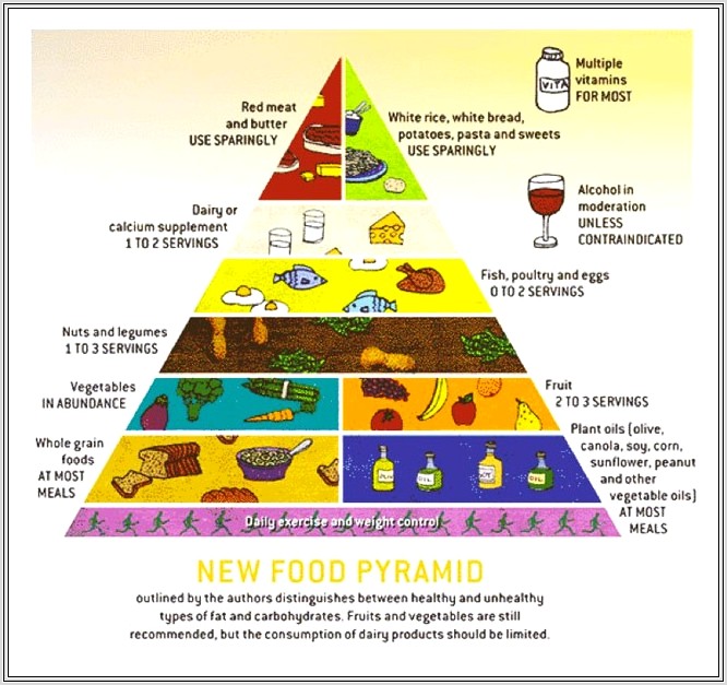Food Pyramid Worksheet Australia