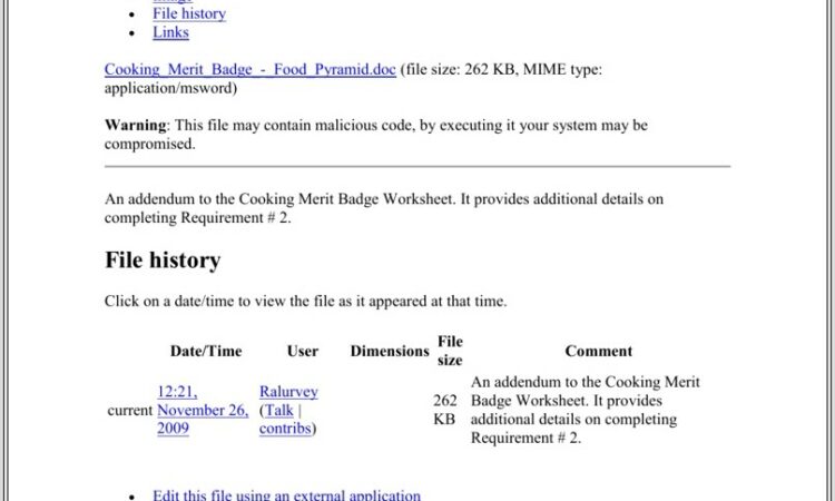 Food Pyramid Worksheet Doc