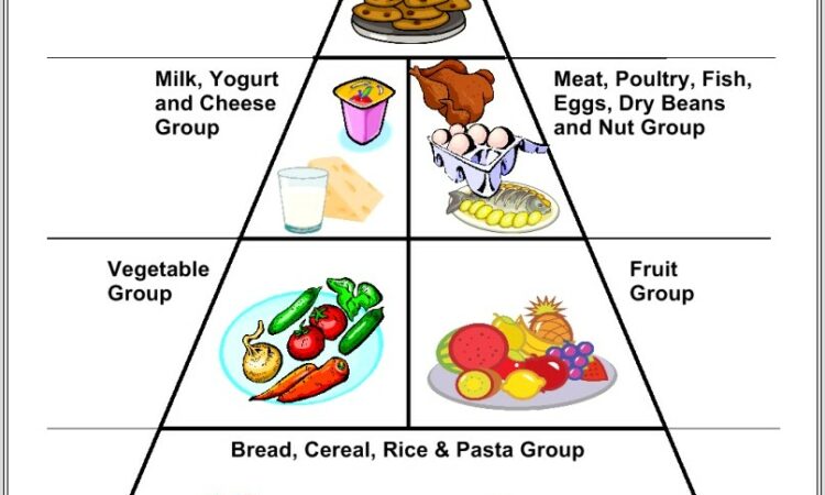 Food Pyramid Worksheet Ireland