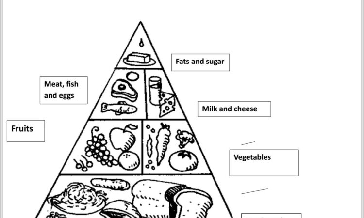 Food Pyramid Worksheet Year 3