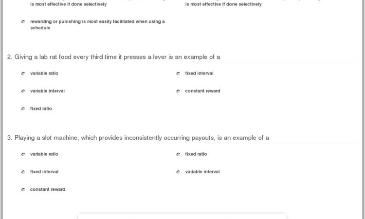 Food Reinforcement Worksheet Answers