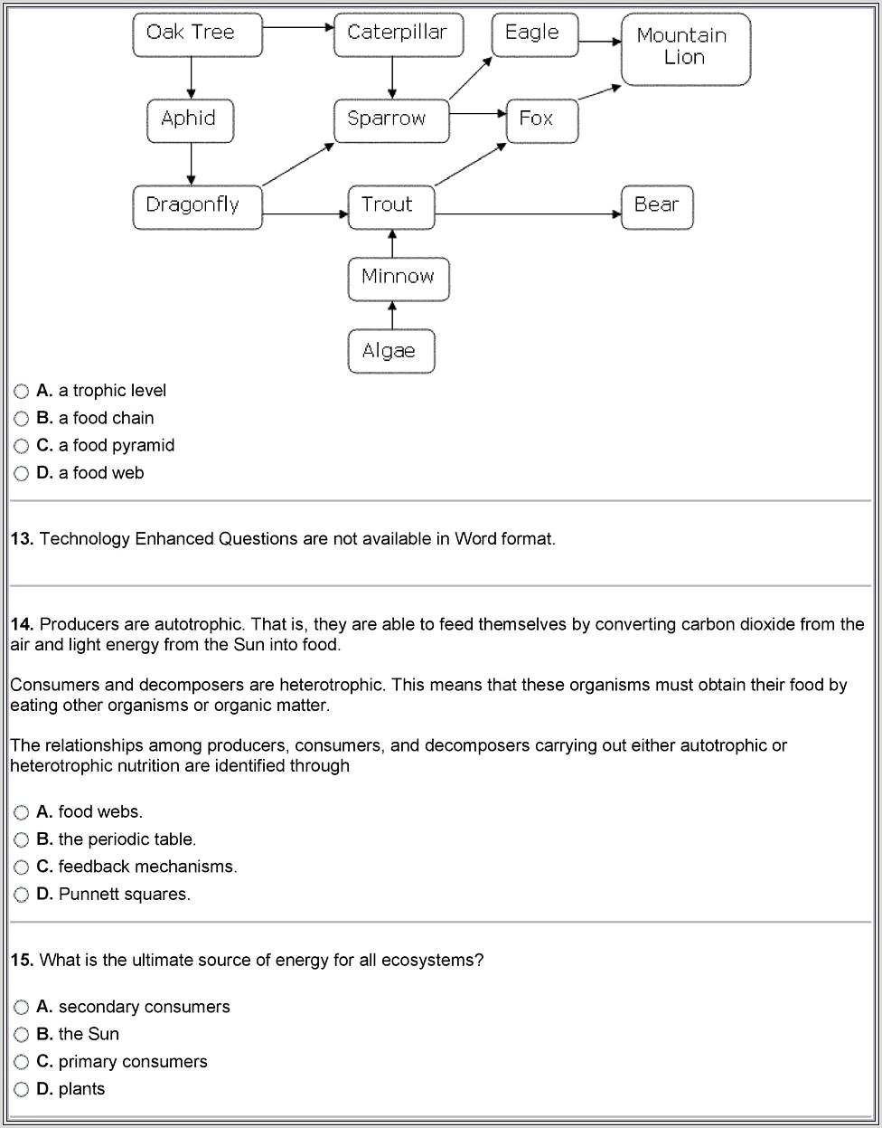 Food Web Bill Nye Worksheet